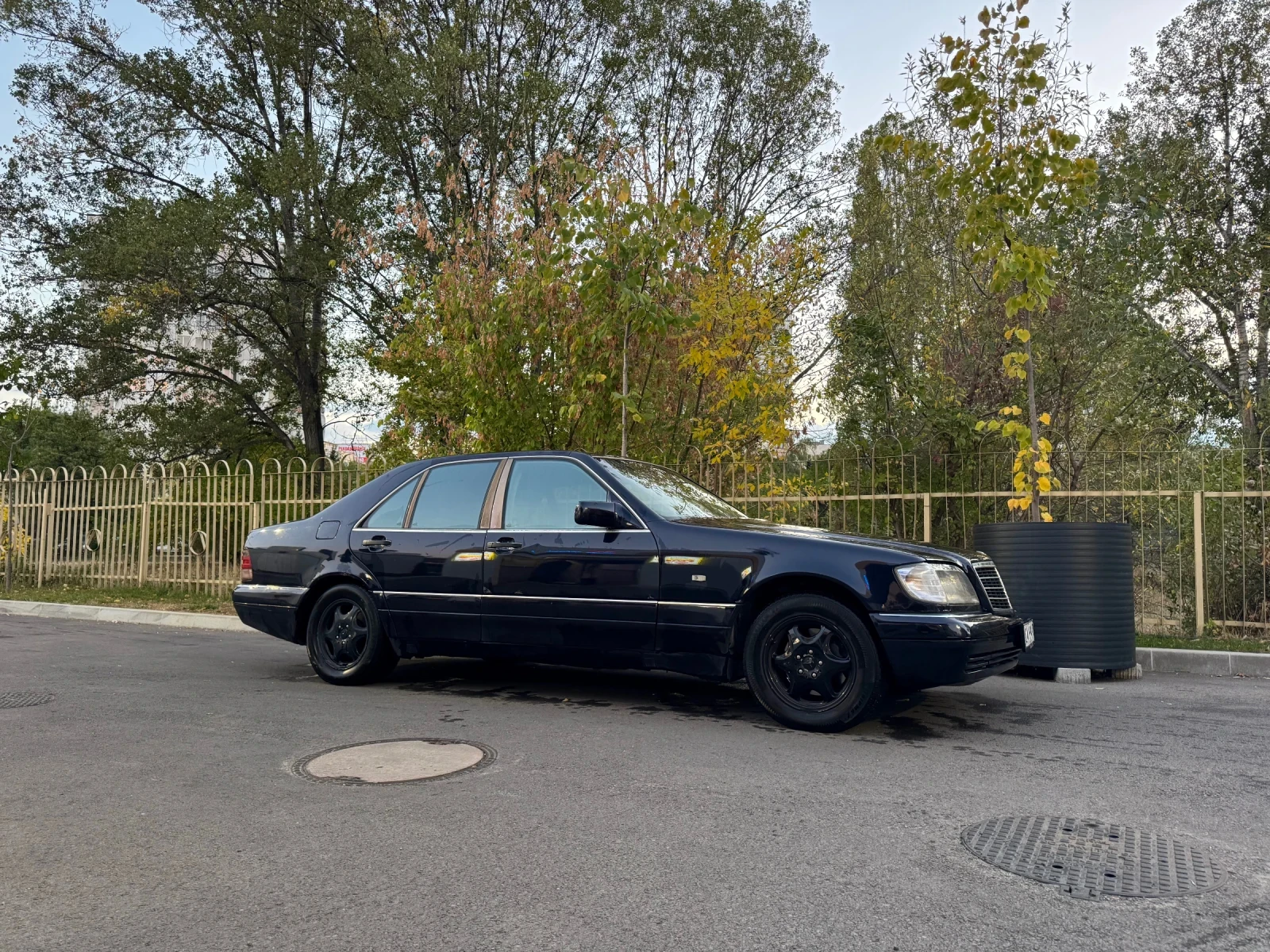 Mercedes-Benz S 300  - изображение 6