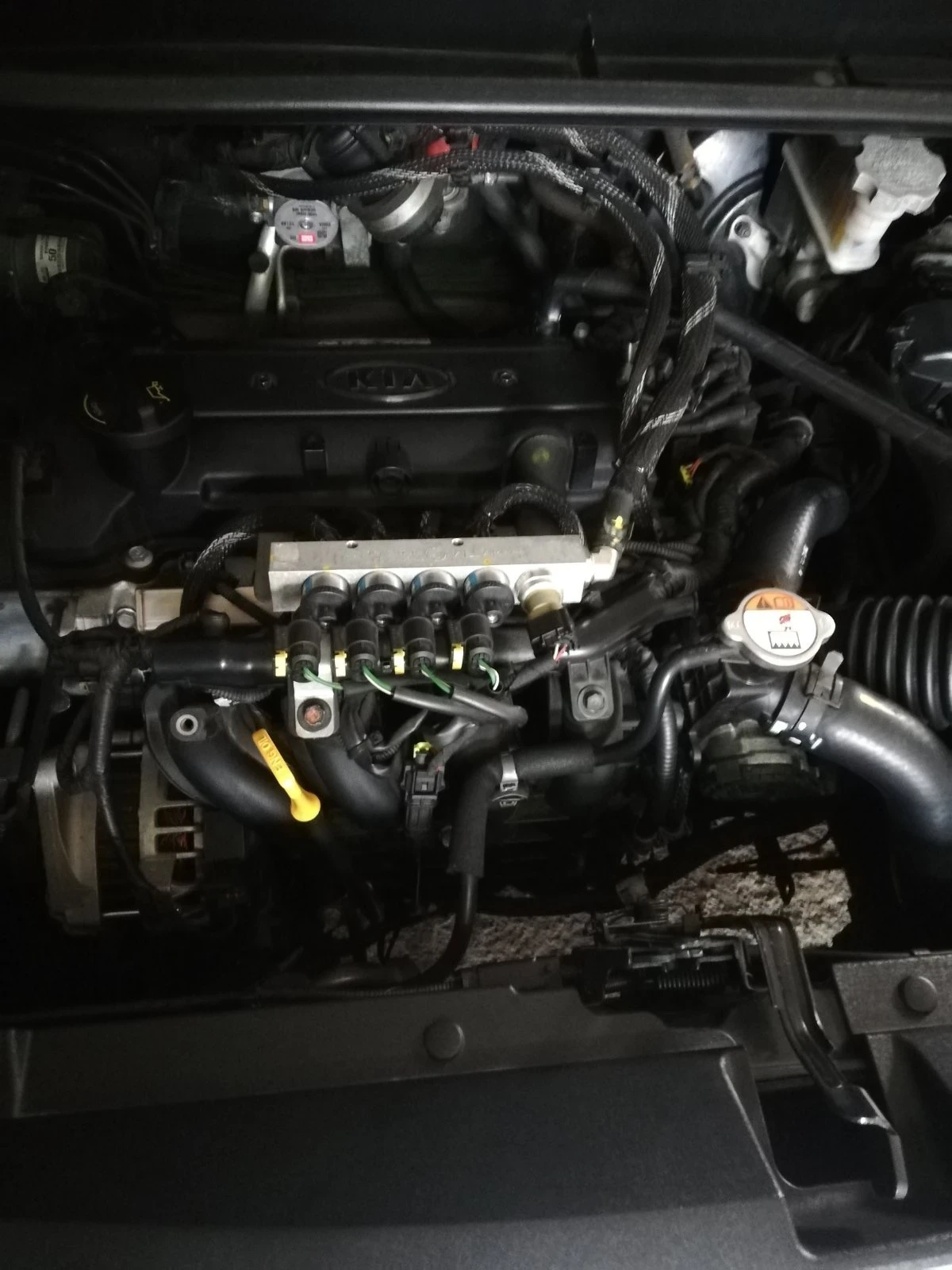 Kia Rio 1.2 | Mobile.bg   15