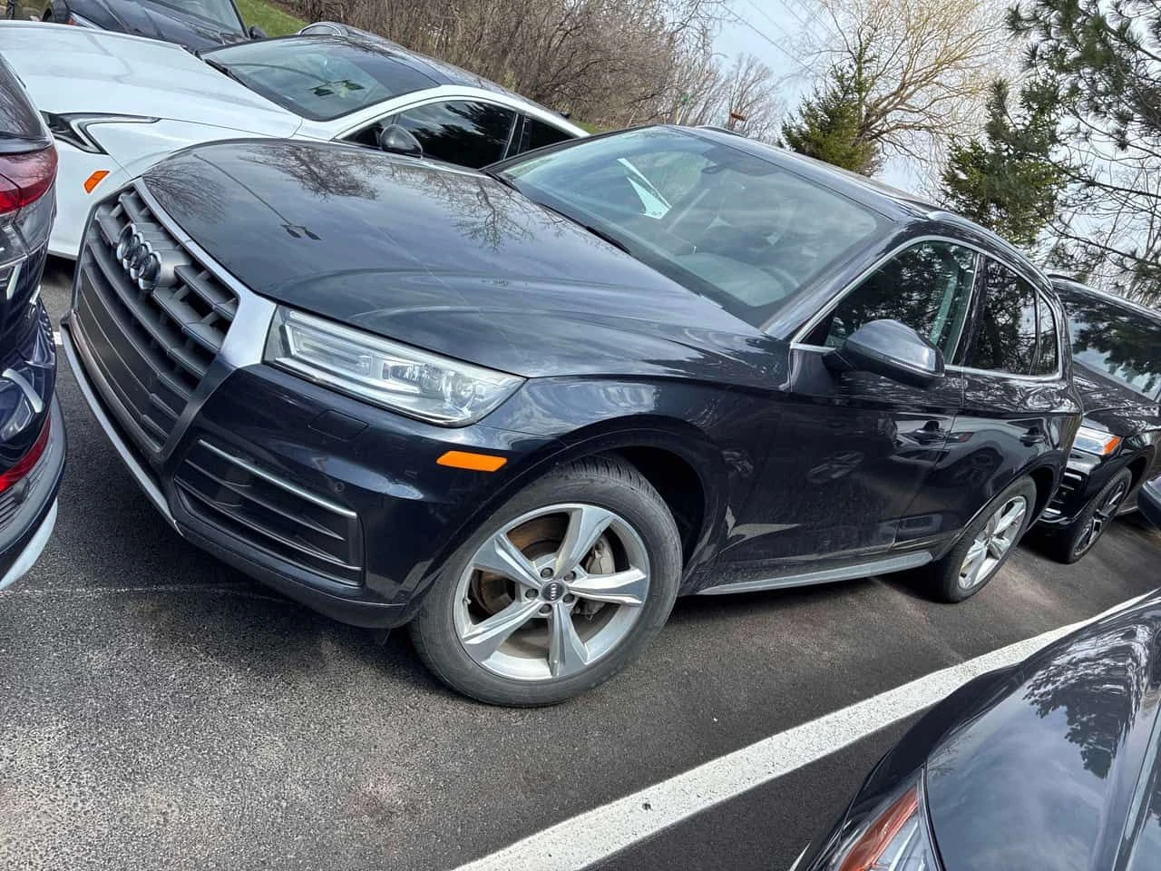 Audi Q5 * Progressiv * KEYLESS* PANORAMA* ПОДГРЕВ* , снимка 2 - Автомобили и джипове - 54296288