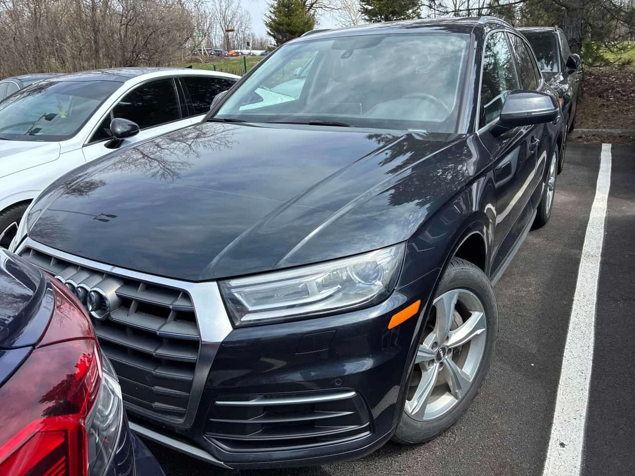 Audi Q5 * Progressiv * KEYLESS* PANORAMA* ПОДГРЕВ* , снимка 6 - Автомобили и джипове - 54296288