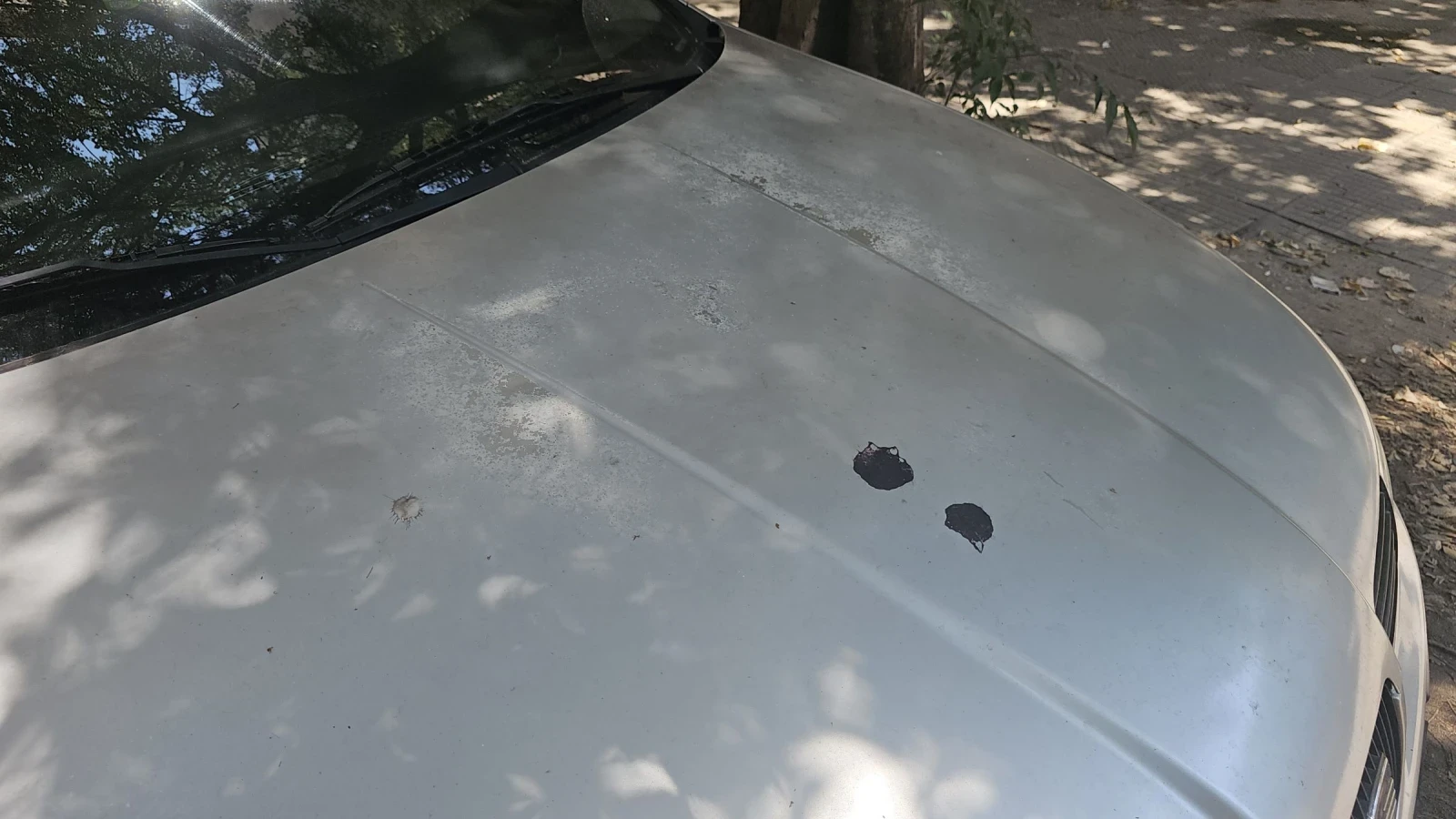 Seat Leon 1.9 TDI 90к.с., снимка 8 - Автомобили и джипове - 55352475