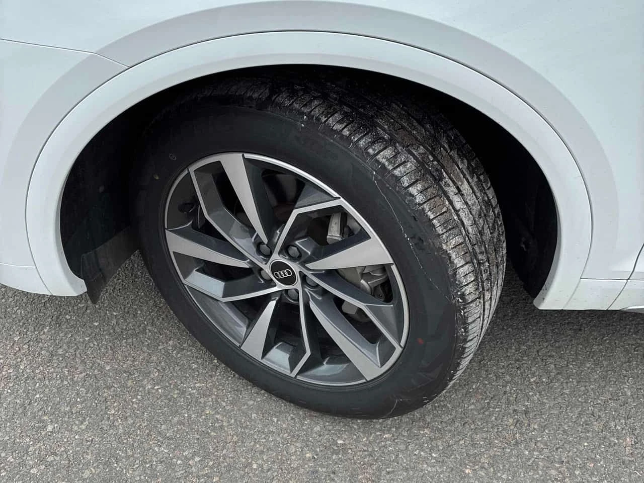 Audi Q5 * Progressiv * CARFAX * БЕЗ ПЪРВОНАЧАЛНА ВНОСКА, снимка 7 - Автомобили и джипове - 54761187