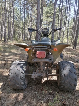 Bashan BS, снимка 2