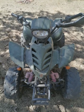 Bashan BS, снимка 3