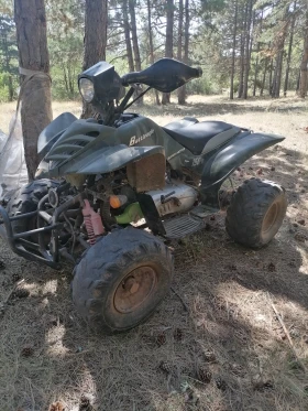 Bashan BS, снимка 4