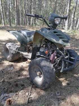 Bashan BS, снимка 1