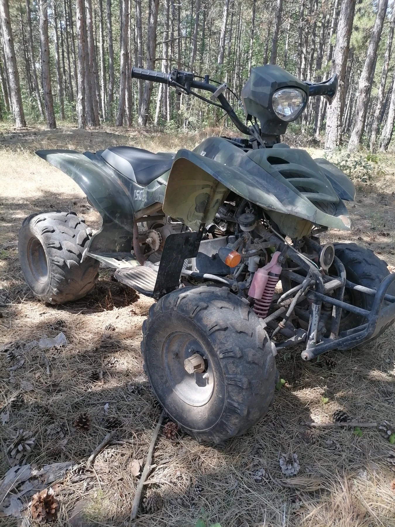 Bashan BS, снимка 1