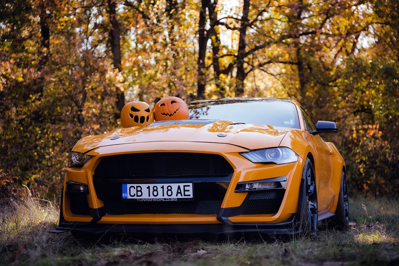 Ford Mustang gt, снимка 1