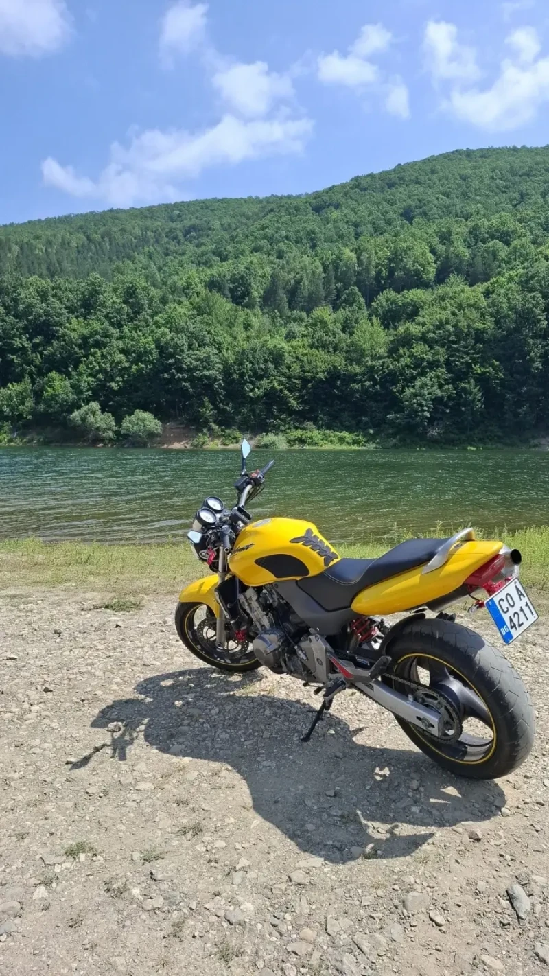 Honda Hornet 600, снимка 5 - Мотоциклети и мототехника - 51800621