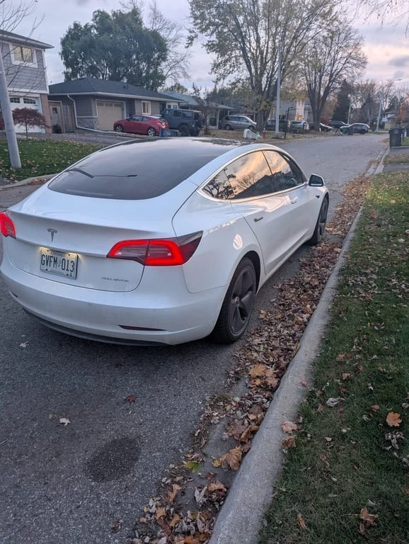 Tesla Model 3 2019 * AWD * ОТ ПРЕДСТАВИТЕЛСТВО - изображение 3