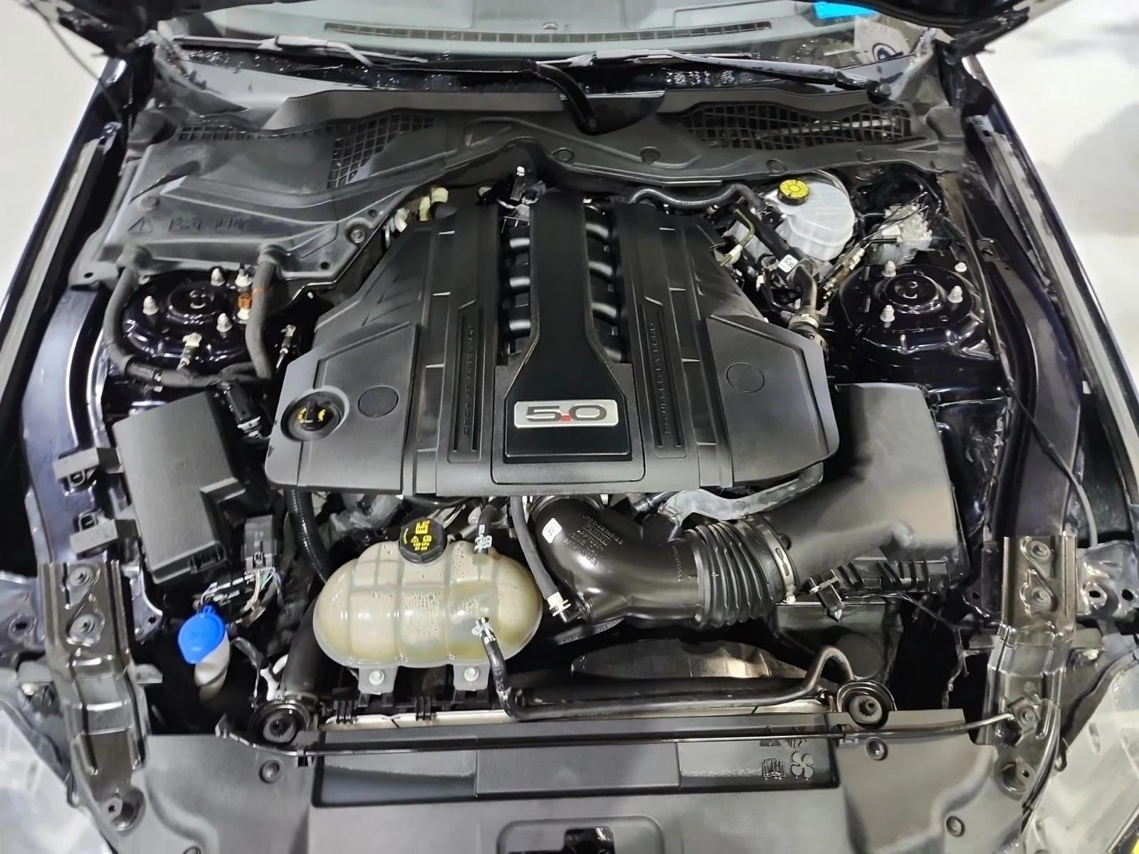 Ford Mustang GT PREMIUM* * CARFAX * * ���� ������ * *  | Mobile.bg � ����������� 9