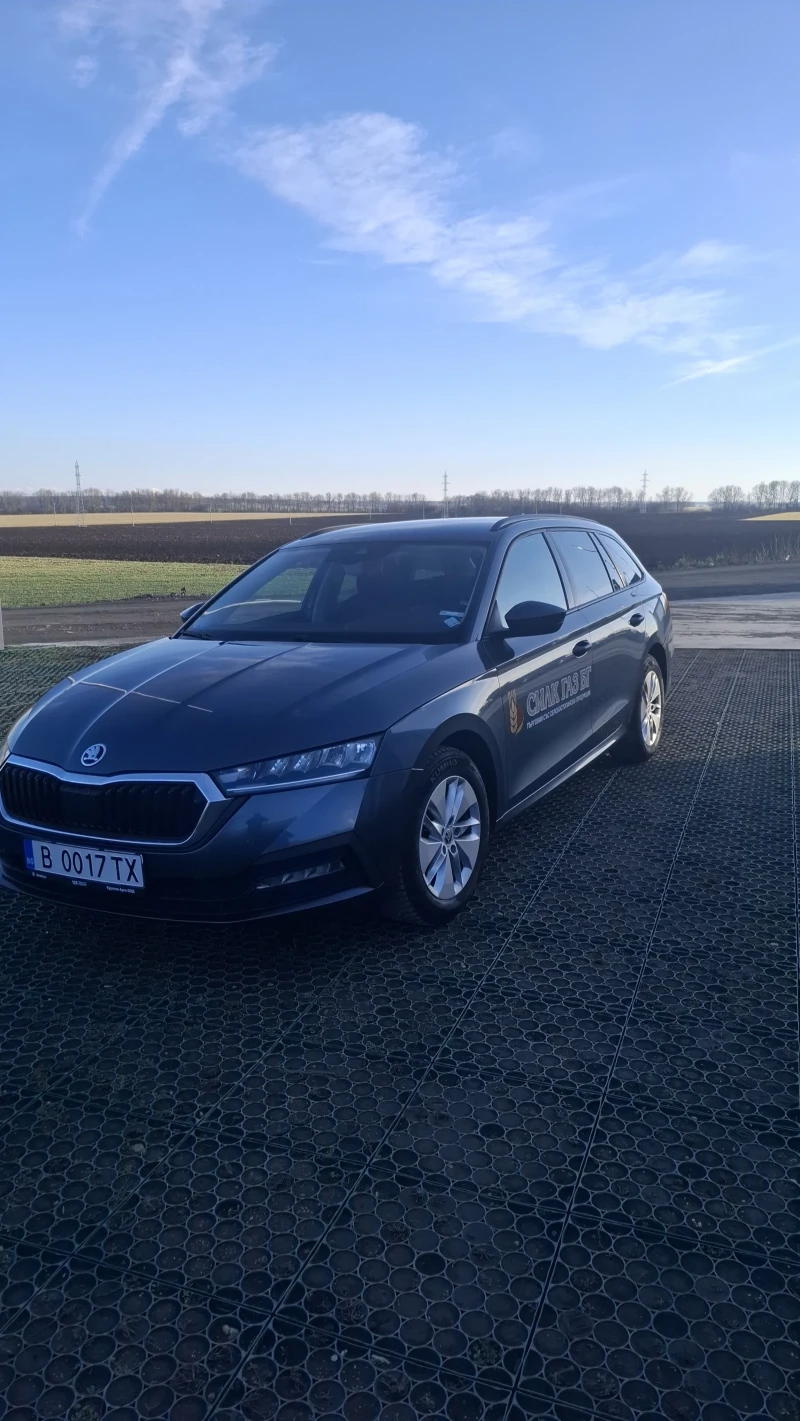 Skoda Octavia, снимка 10 - Автомобили и джипове - 53262200