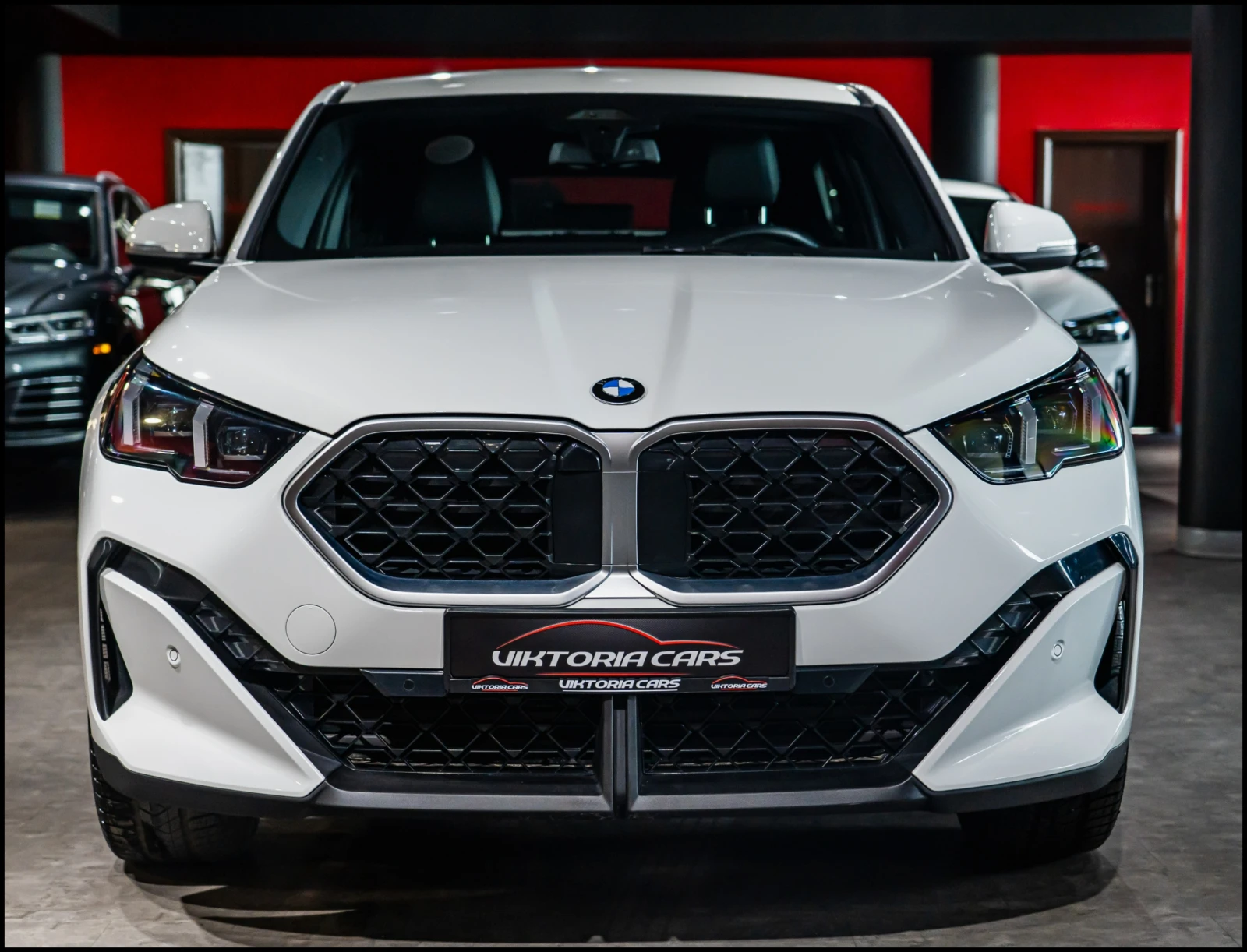 BMW X2 xDrive 28i, снимка 2 - Автомобили и джипове - 54884565