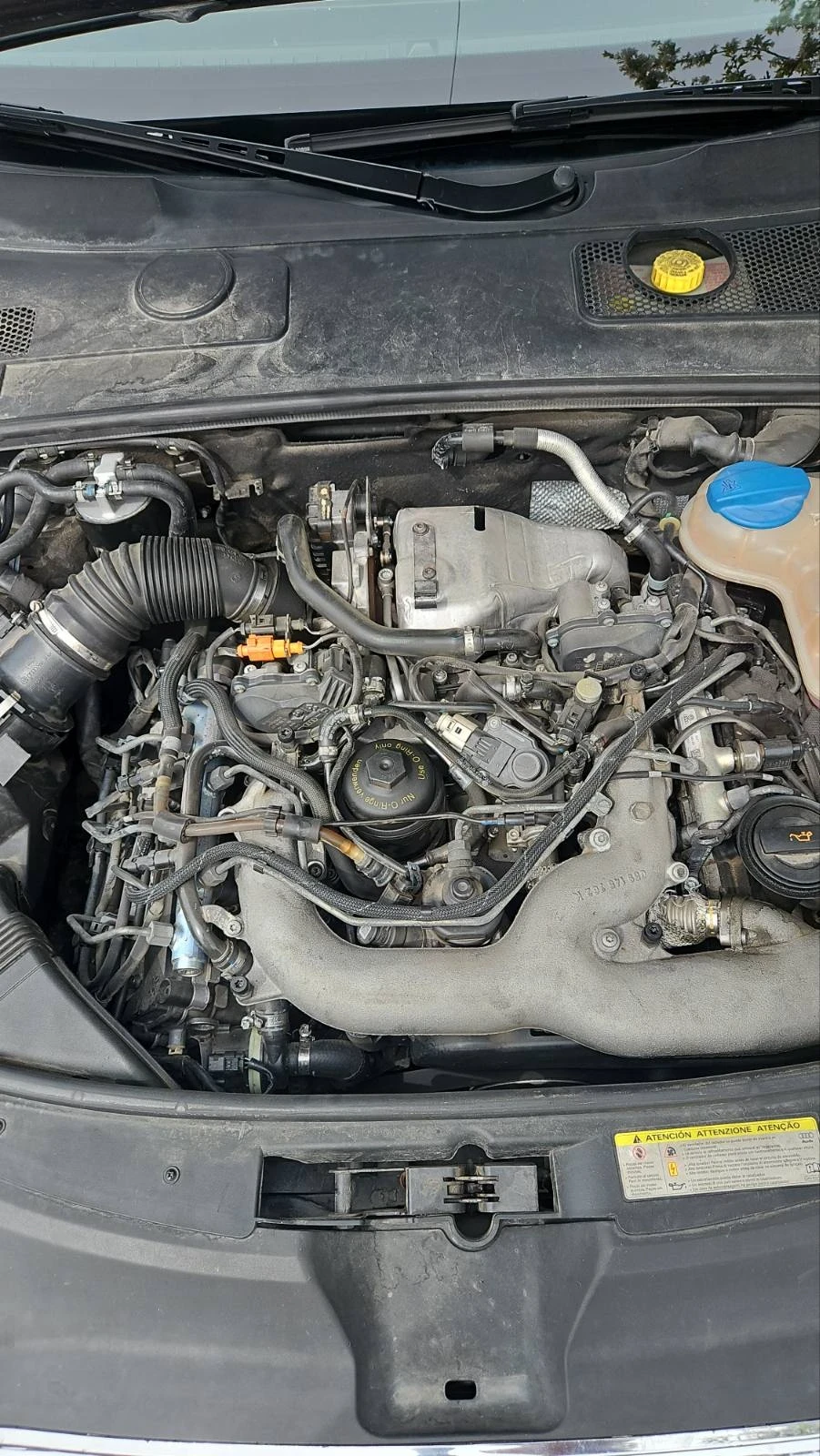 Audi A6 QUATTRO, Allroad, 3.0TDI-239�.�. | Mobile.bg � ����������� 13