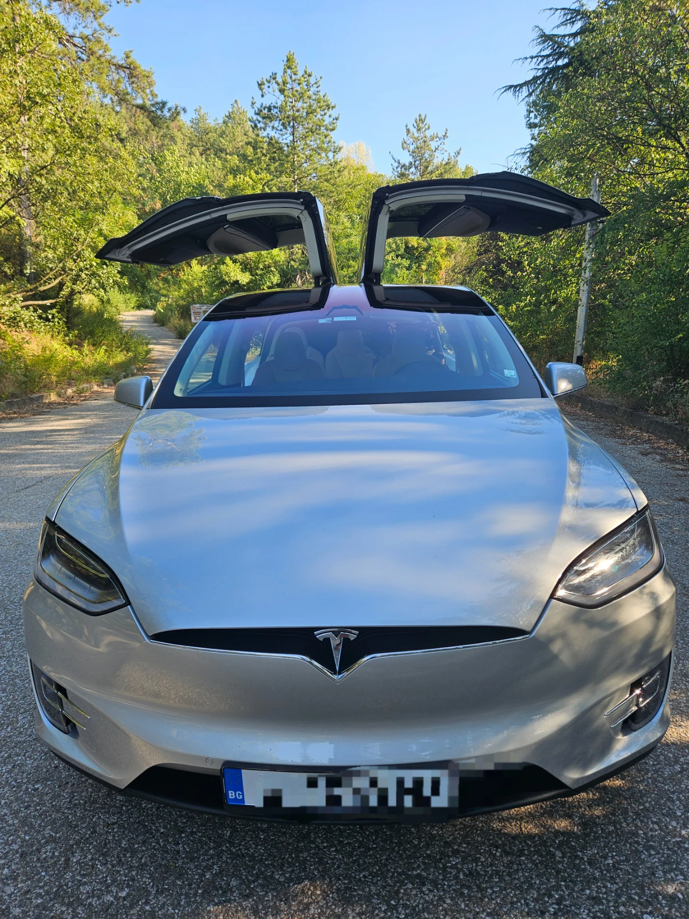 Tesla Model X P100d - изображение 3