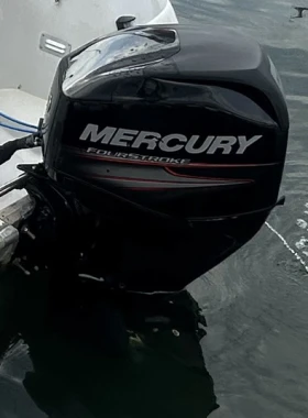 ����������� �������� Mercury F60 EFI ELPT 2017 | Mobile.bg � ����� ������ 3