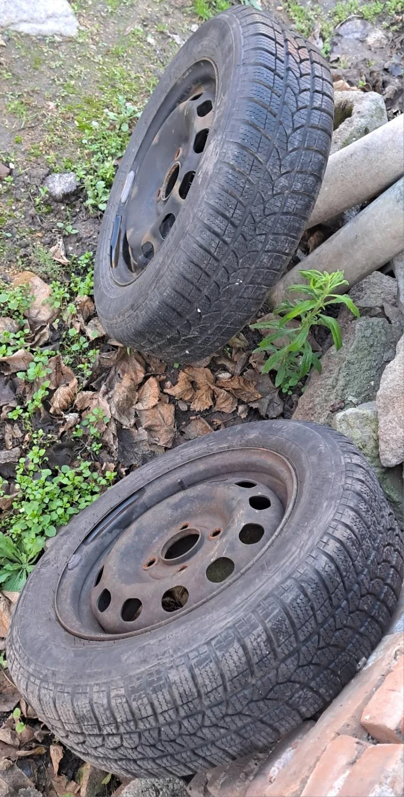 ���� � ������ 175/65R14 �� Ford Fiesta | Mobile.bg � ����������� 12