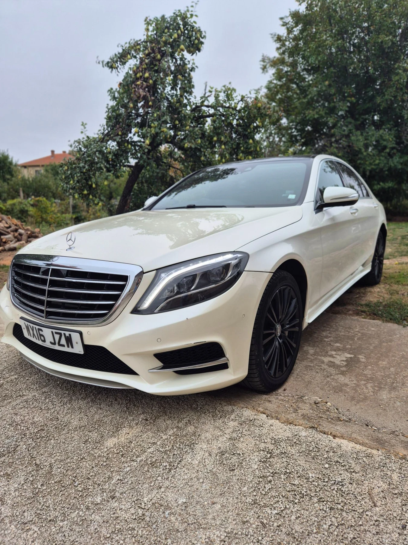 Mercedes-Benz S 350 CDI AMG, Adblu десен волан