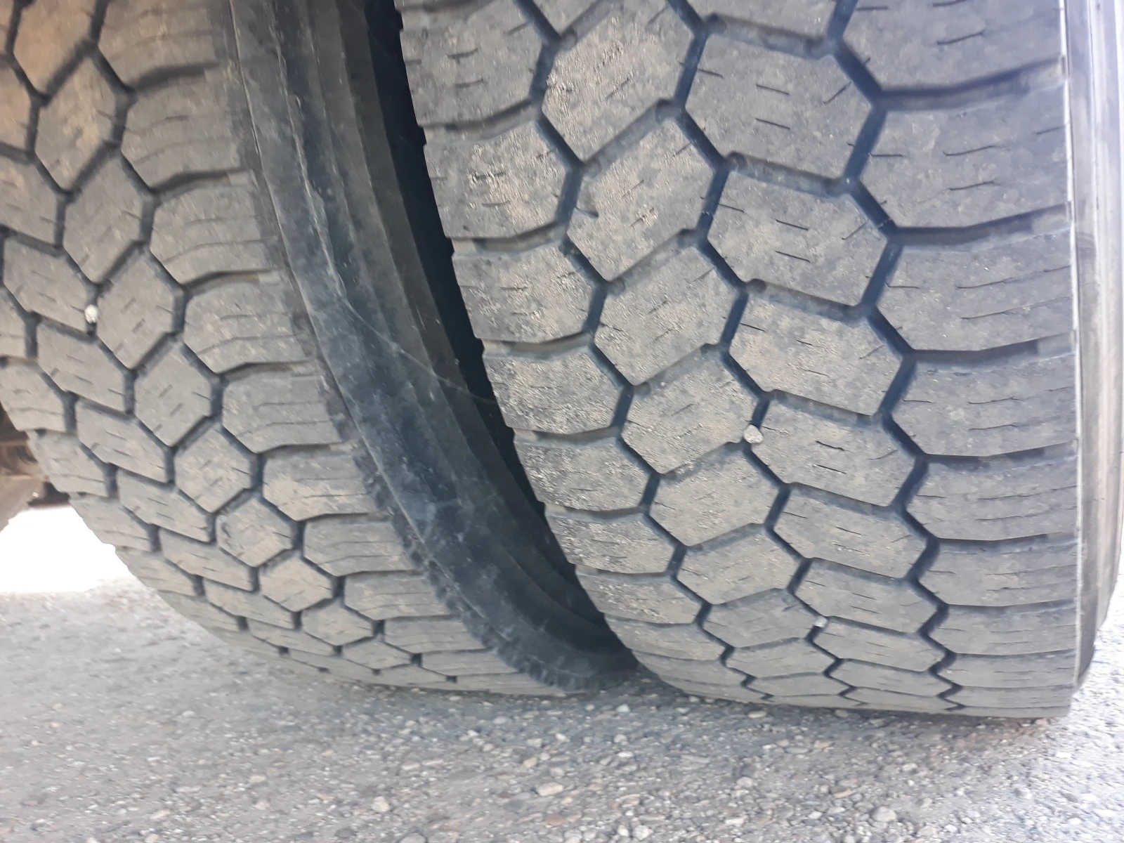 Man Tgs 18.440--44 | Mobile.bg   14