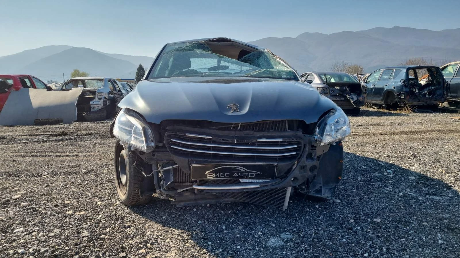 Peugeot 301 1.6HDI, снимка 1