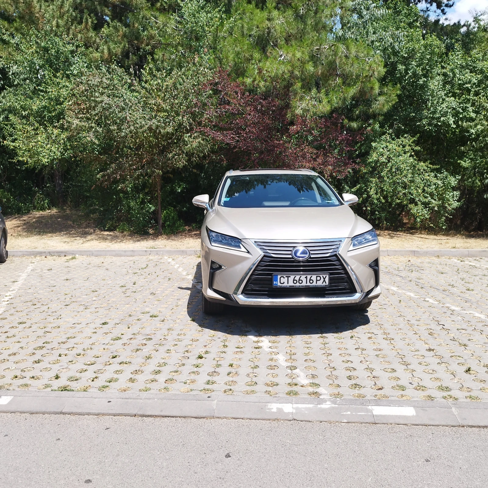 Lexus RX 450h RX450HL - изображение 4