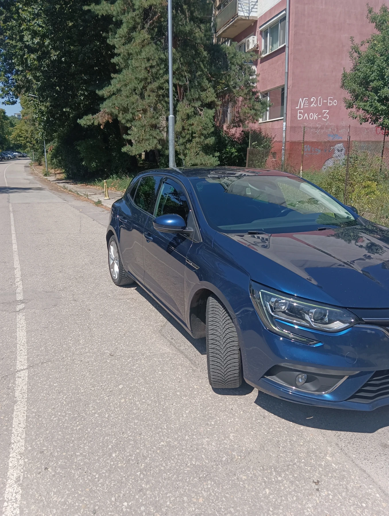 Renault Megane, снимка 2 - Автомобили и джипове - 55483907