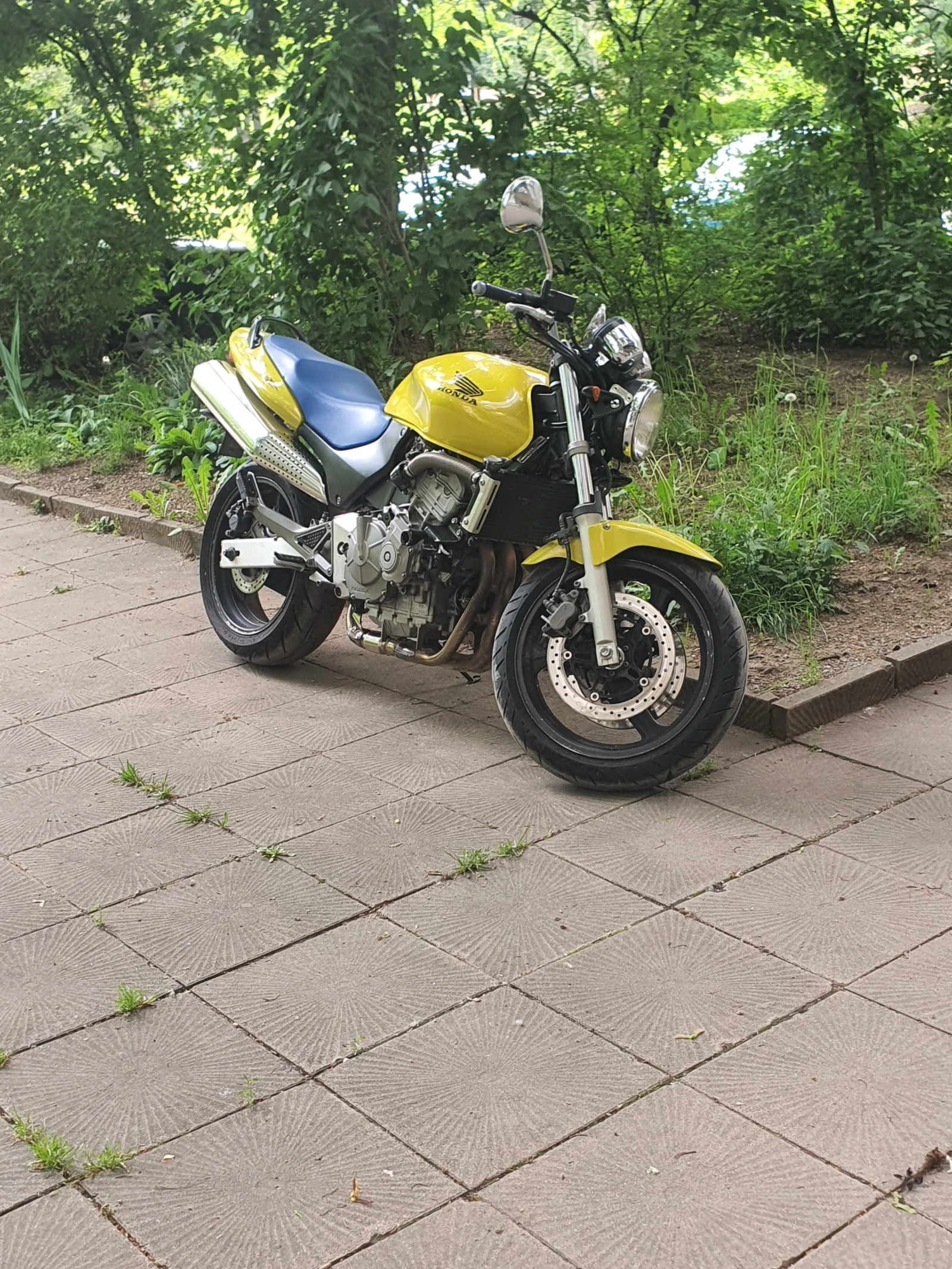 Honda Hornet  - изображение 3