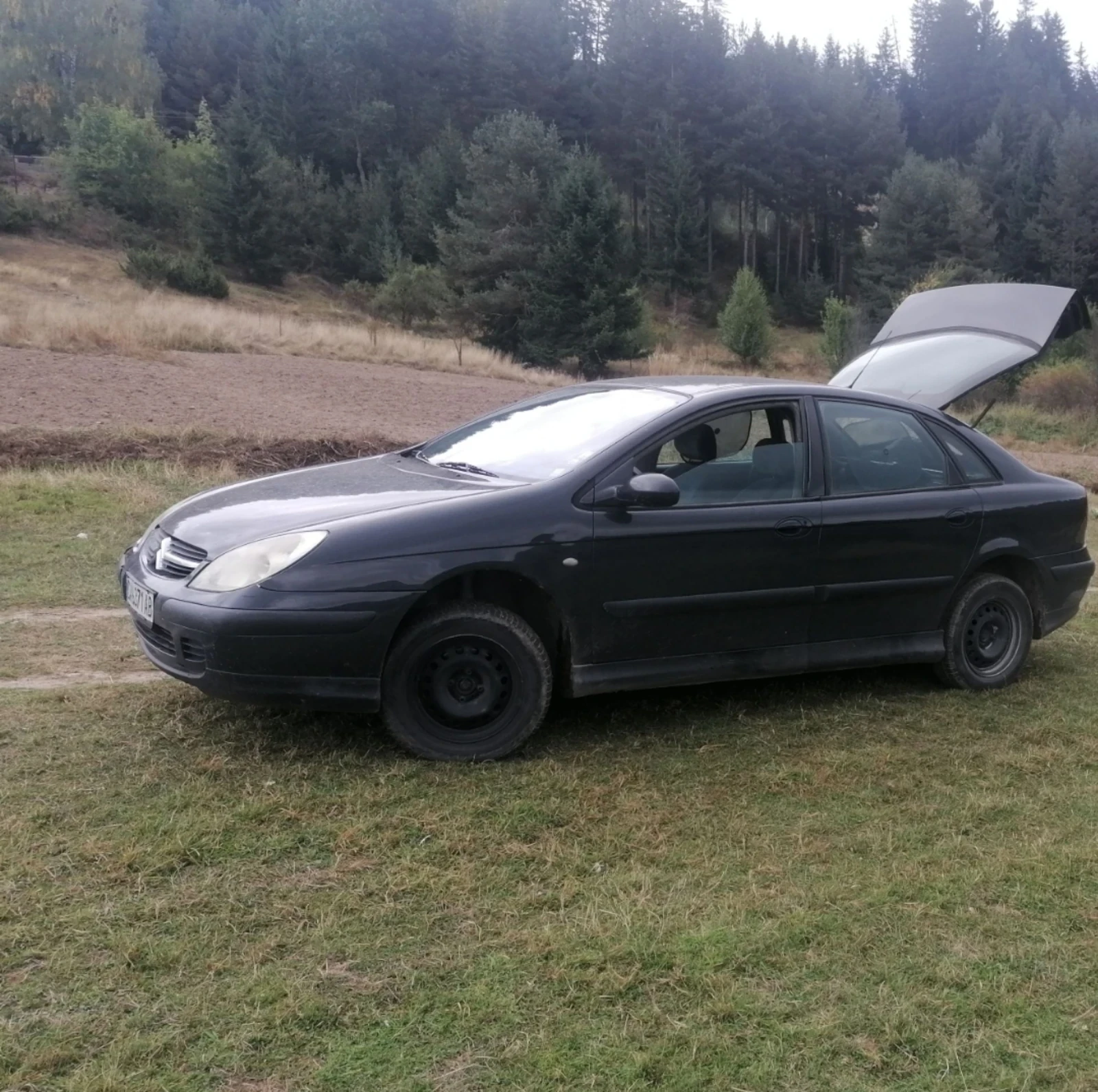Citroen C5 2.0 HDI - изображение 2