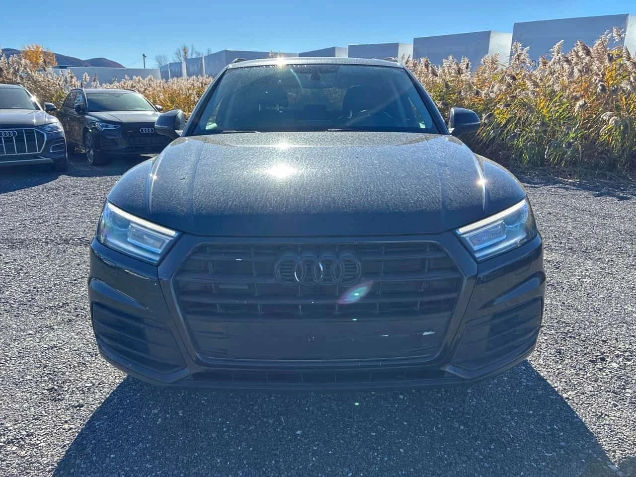 Audi Q5, снимка 5 - Автомобили и джипове - 56713177