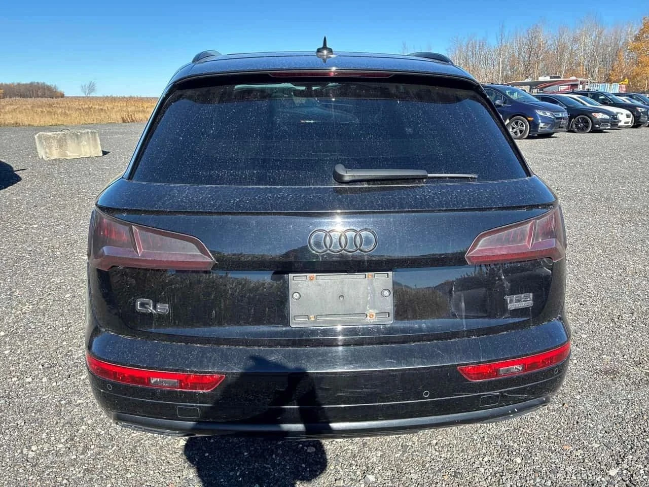 Audi Q5, снимка 4 - Автомобили и джипове - 56713177