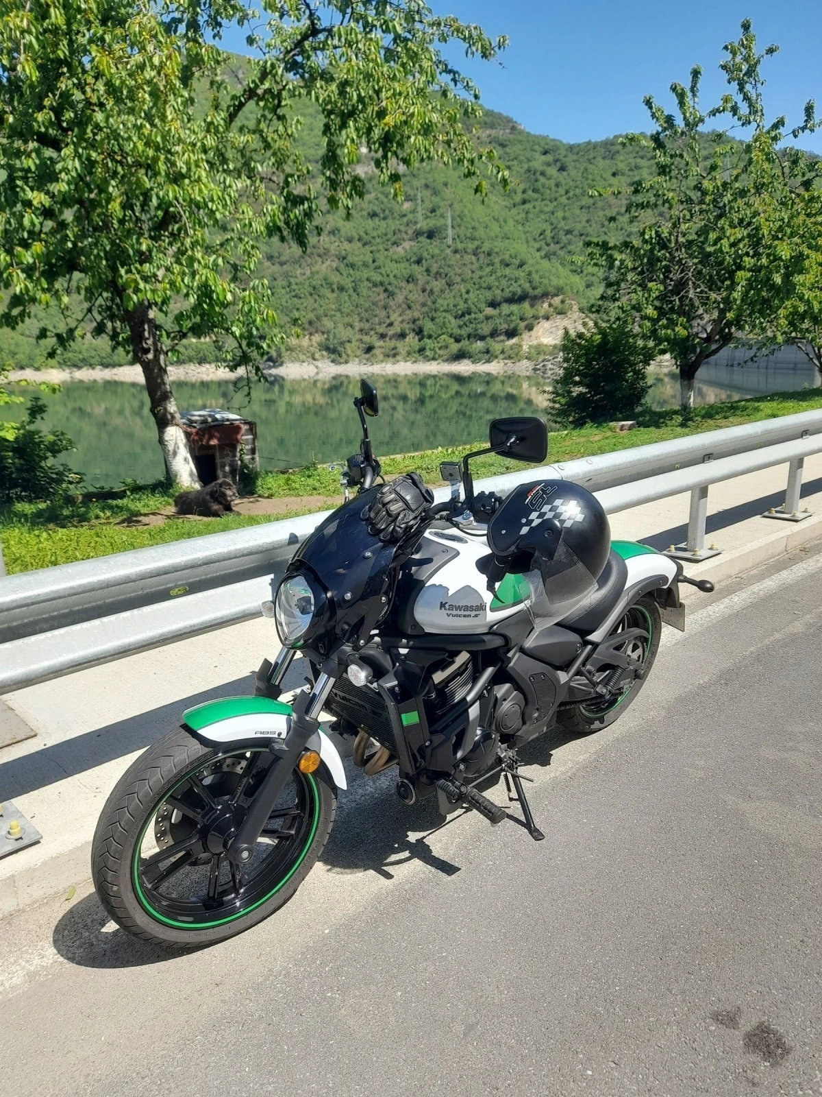 Kawasaki Vulcan  S 650 - изображение 3