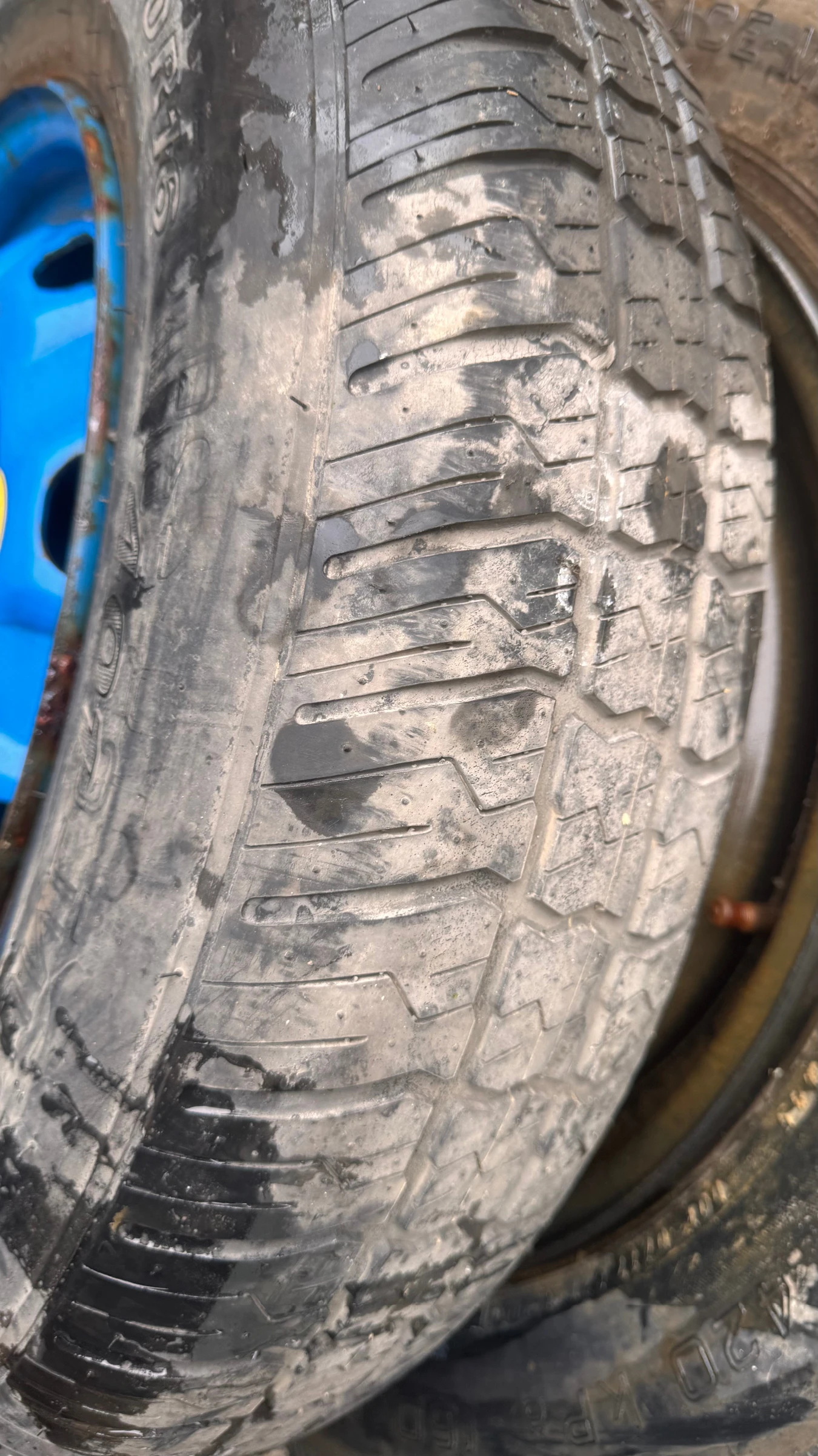 ���� � ������ 195/90R16 �� Nissan X-trail | Mobile.bg � ����������� 2