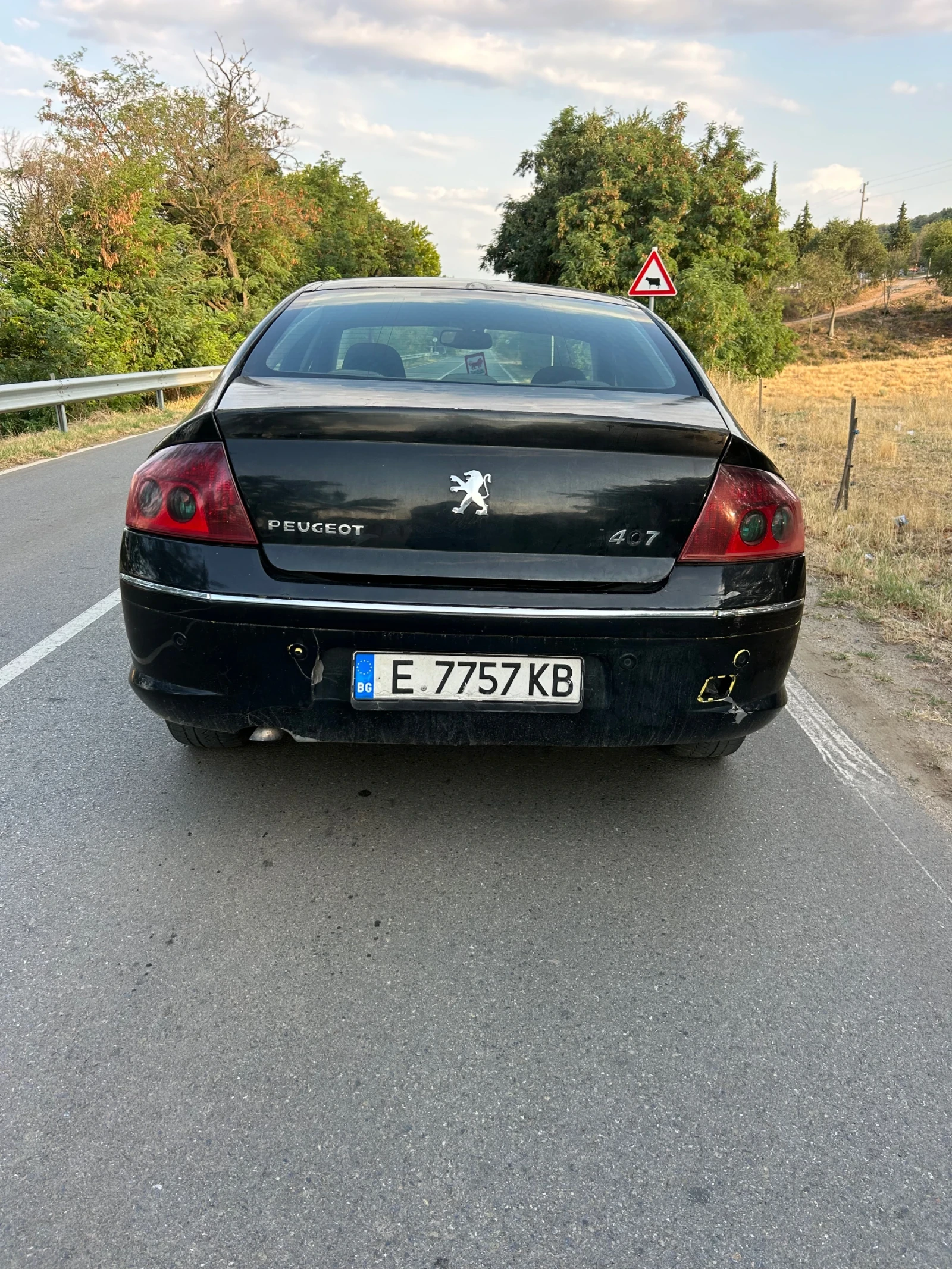 Peugeot 407 2.0HDI - изображение 6