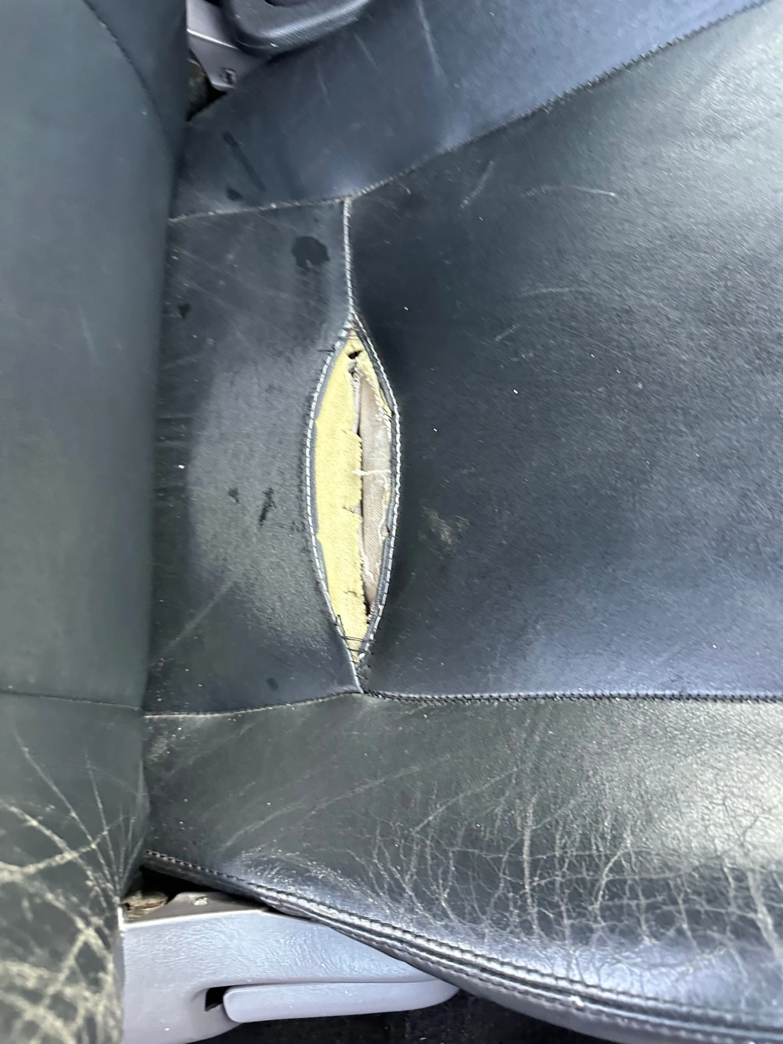 Toyota Celica | Mobile.bg � ����������� 10