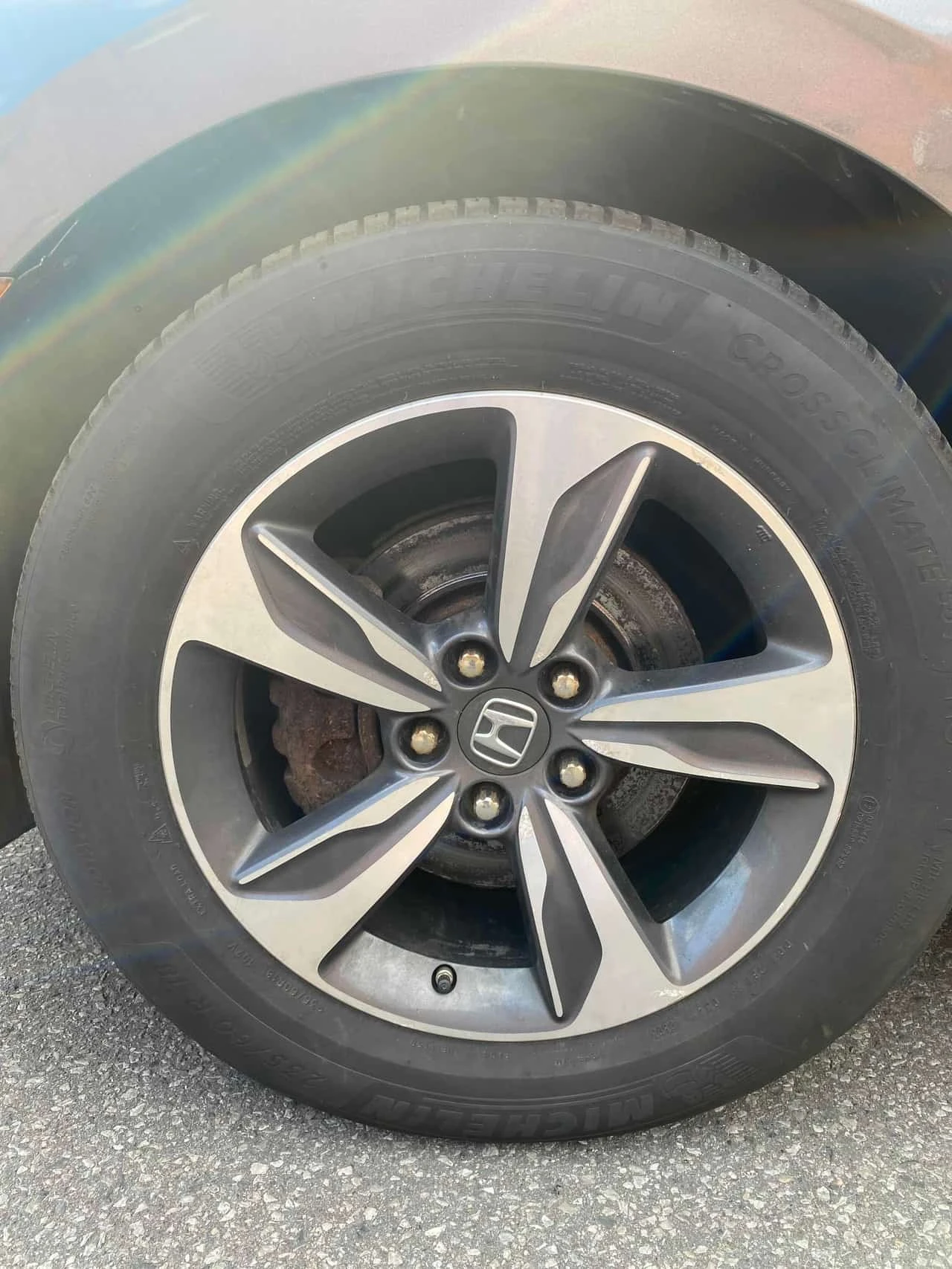 Honda Odyssey * EX L * ���������� ��� ������������ ������*  | Mobile.bg � ����������� 7