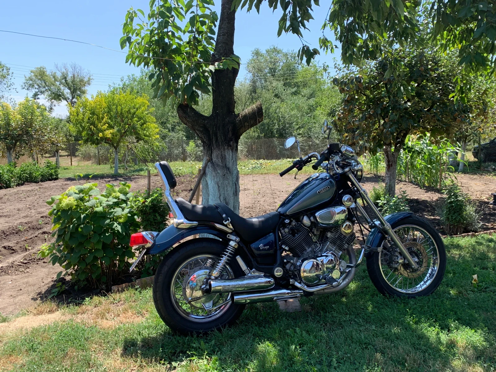 Yamaha Virago XV - изображение 7