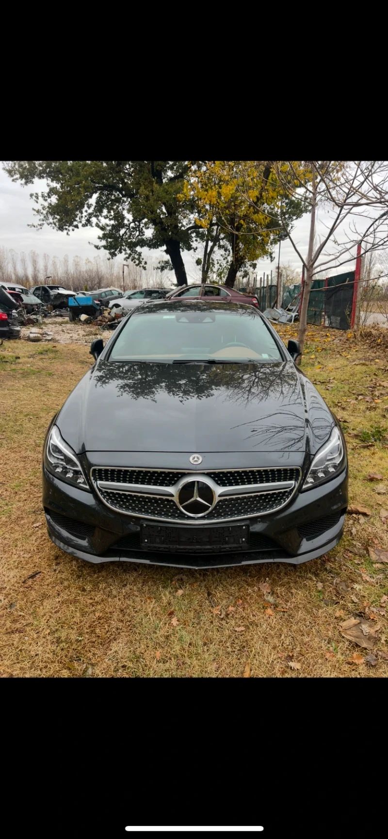 Mercedes-Benz CLS 250, снимка 2 - Автомобили и джипове - 48013552