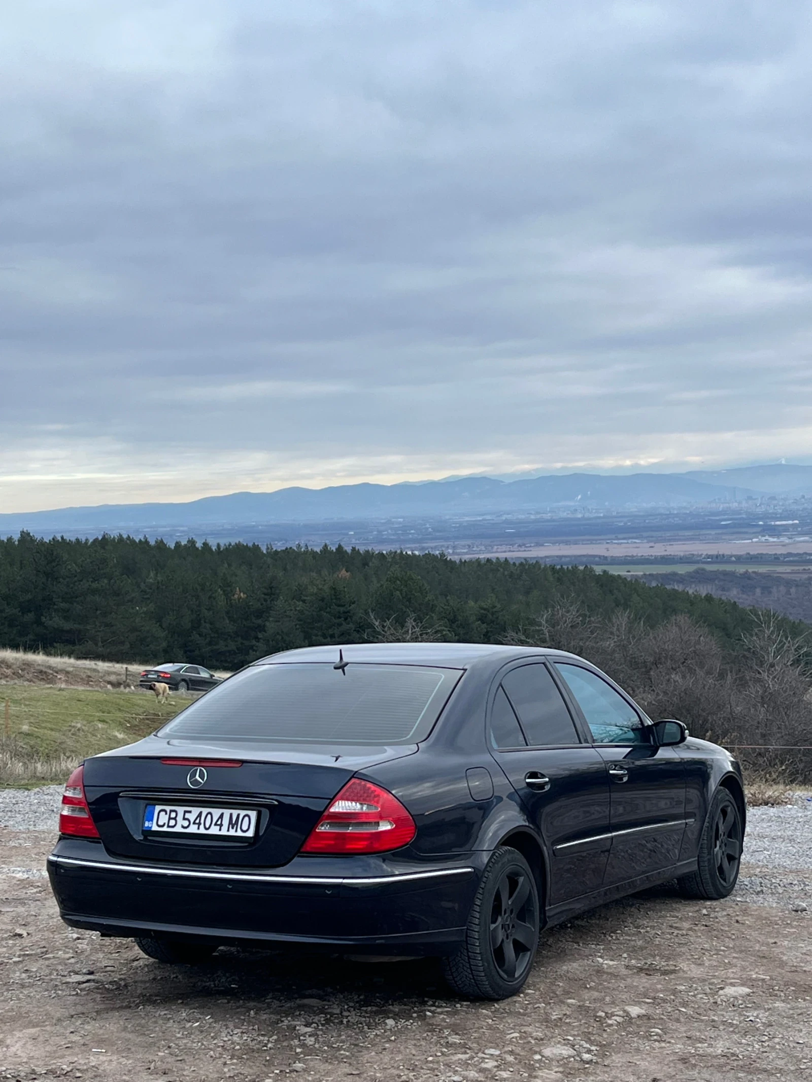 Mercedes-Benz E 320 | Mobile.bg � ����������� 7