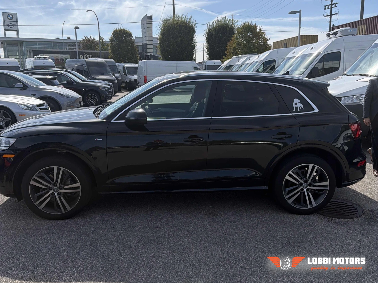 Audi Q5, снимка 4 - Автомобили и джипове - 55955912