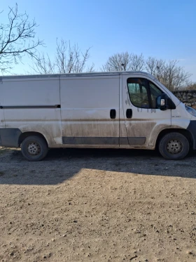 Peugeot Boxer undefined | Auto.bg — изображение 2