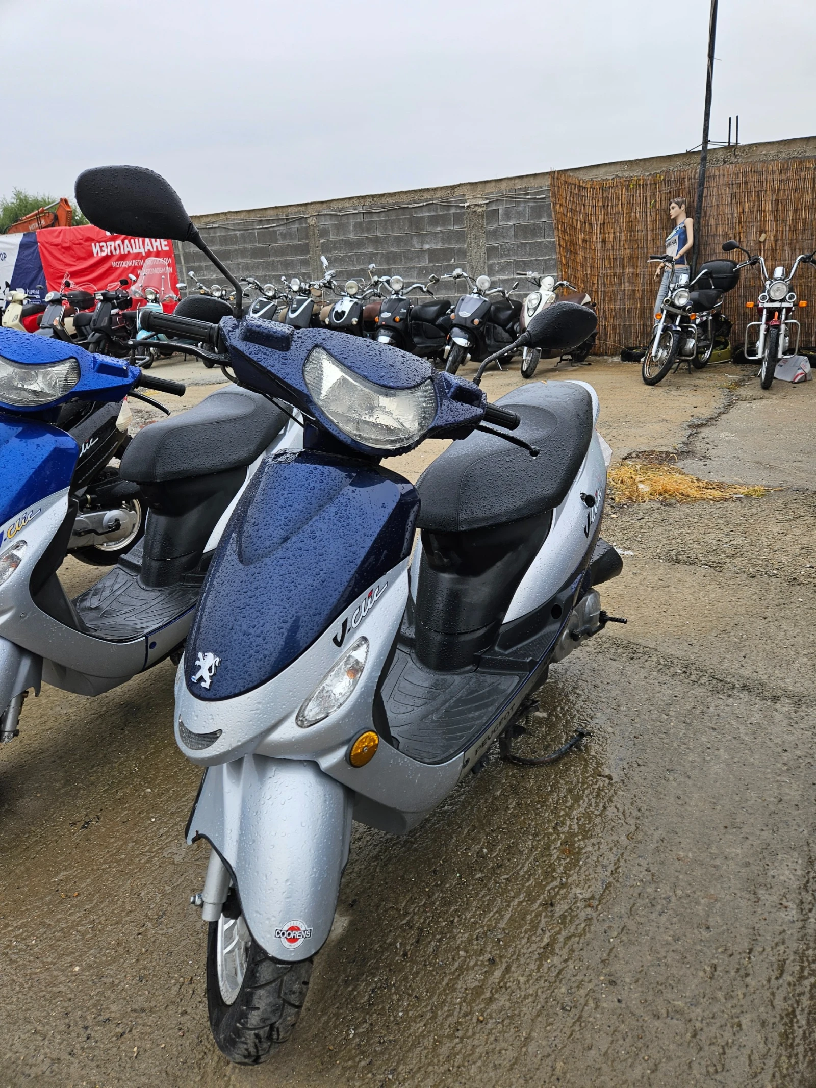 Peugeot V-Clic   | Mobile.bg   13