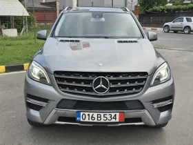     Mercedes-Benz ML 350      