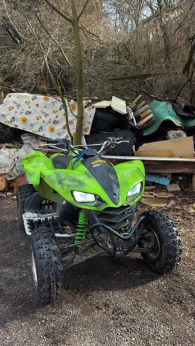 Kawasaki Kfx 700, снимка 1