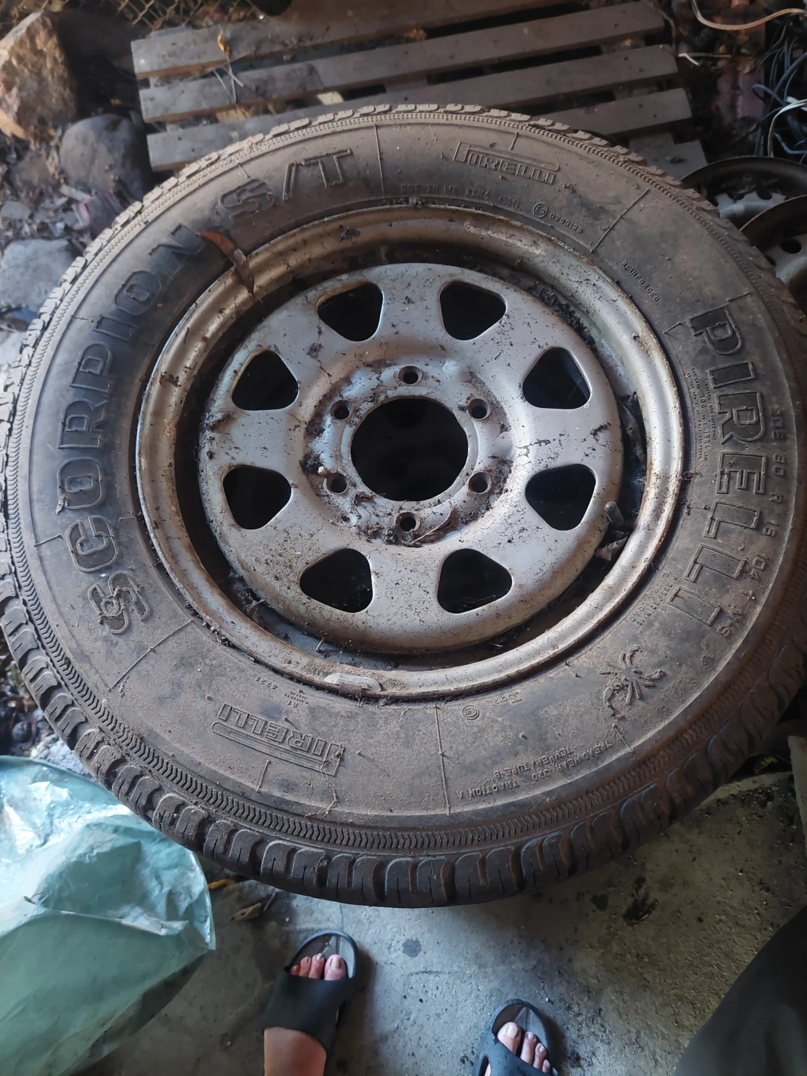 ������ �� Nissan Pickup | Mobile.bg � ����������� 2