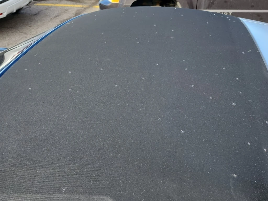 Porsche 911 * 4S * CARFAX *    | Mobile.bg   14