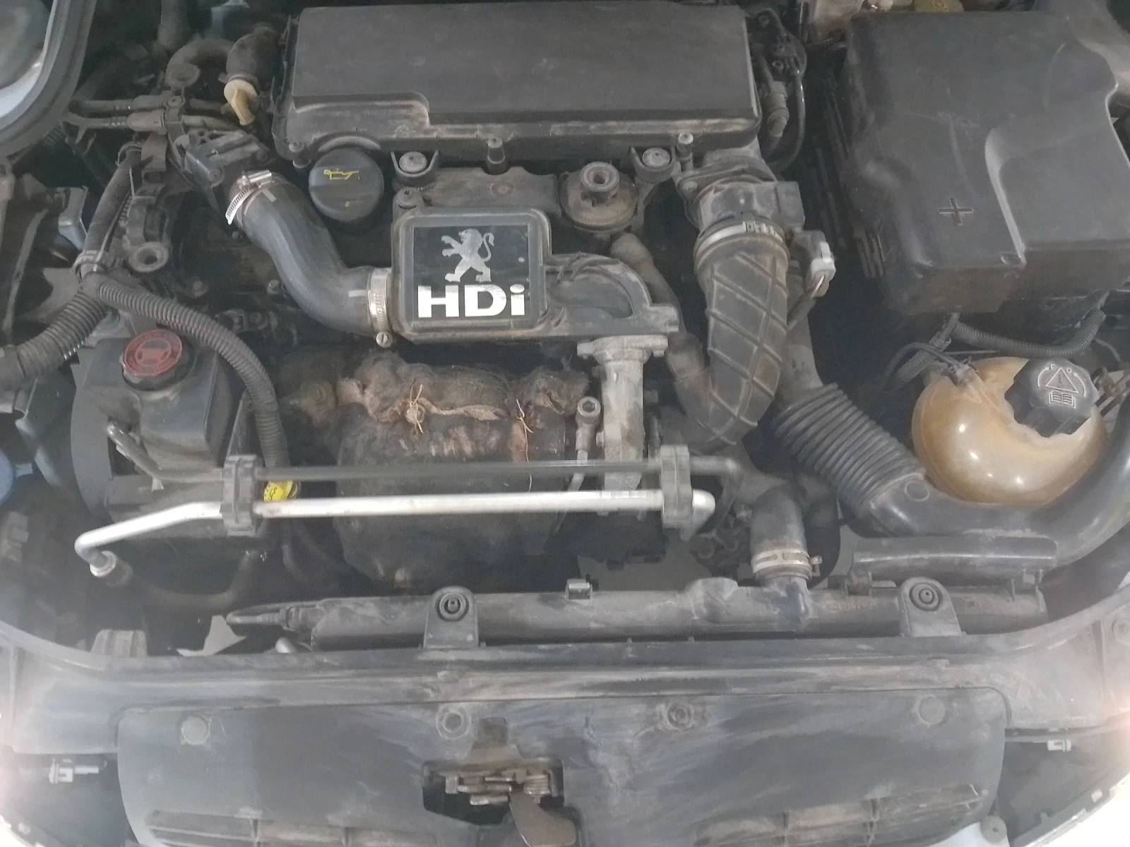 Peugeot 206, снимка 9 - Автомобили и джипове - 54981070