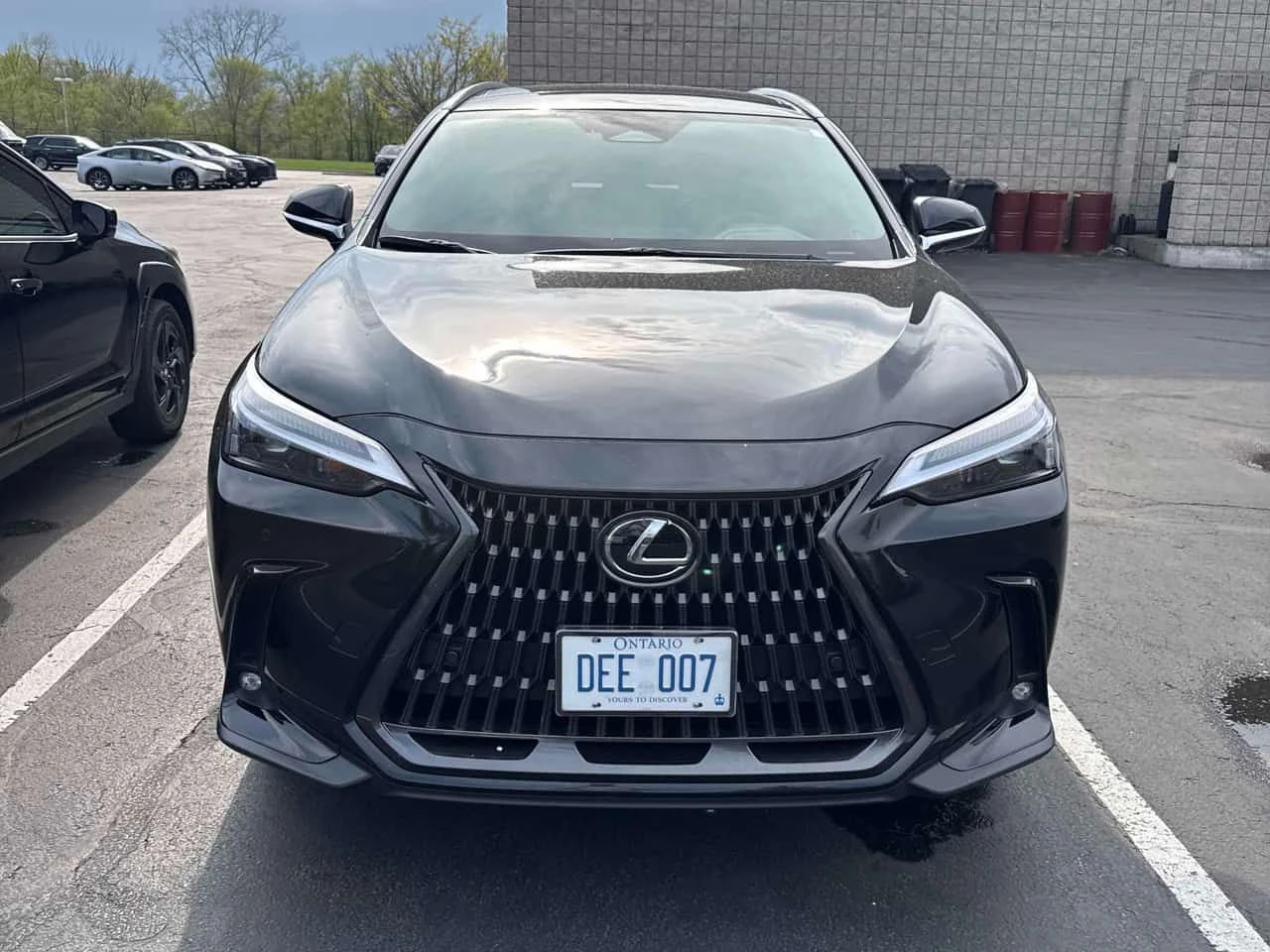 Lexus NX * 350 * ОБДУХВАНЕ * ПАМЕТ * NAVI, снимка 15 - Автомобили и джипове - 54501256