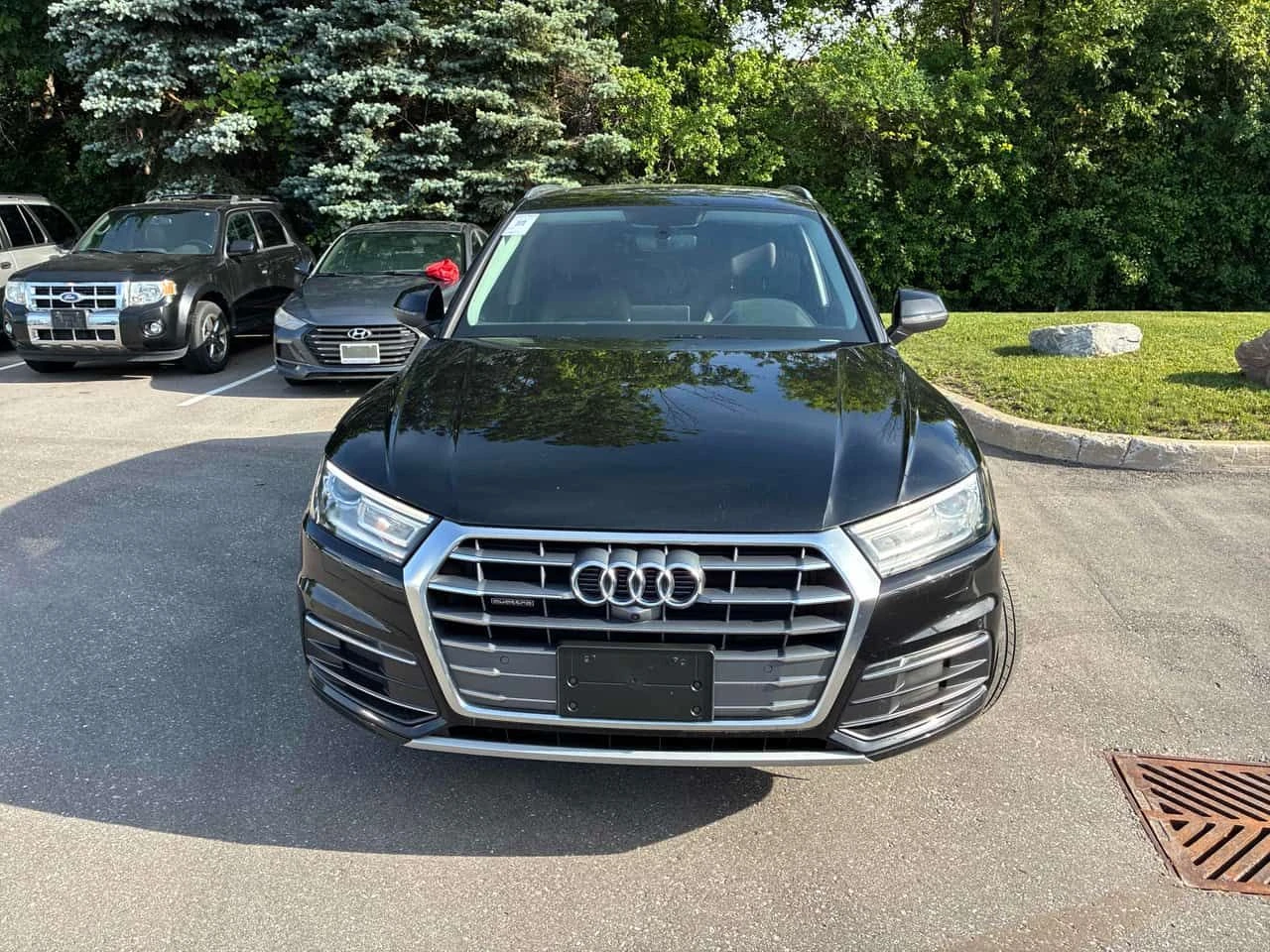 Audi Q5 * Progressiv * CARFAX * ОТ ПРЕДСТАВИТЕЛСТВО, снимка 6 - Автомобили и джипове - 54939302