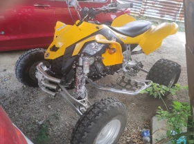     Can-Am DS