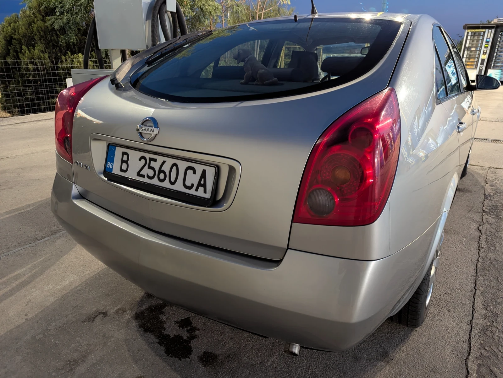 Nissan Primera P12E - изображение 2